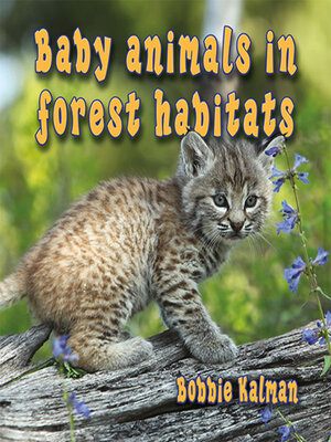 cover image of Baby animals in forest habitats